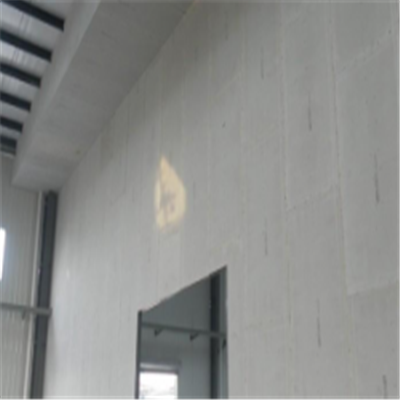 洱源宁波ALC板|EPS加气板隔墙与混凝土整浇联接的实验研讨